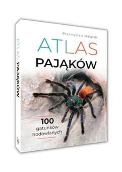 Atlas pająków