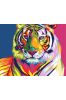 Malowanie po numerach - Tęczowy tygrys 40x50cm