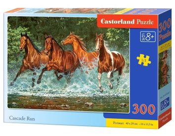 Puzzle 300 Cascade Run CASTOR