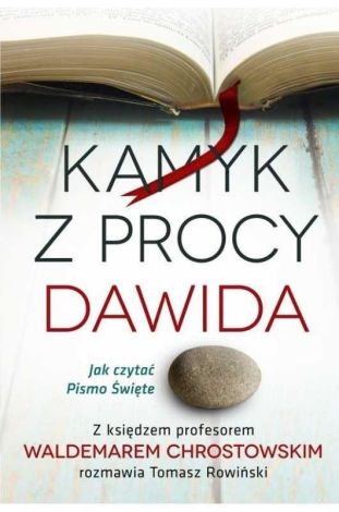 Kamyk z procy Dawida. Jak czytać Pismo Święte?