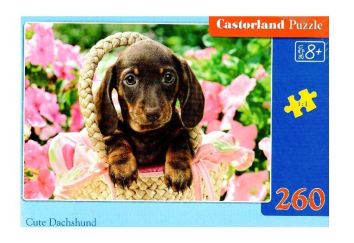 Puzzle 260 Cute Dachshund CASTOR