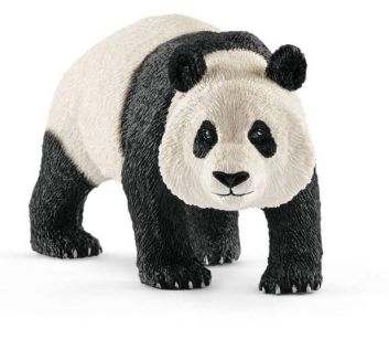 Panda Wielka samiec