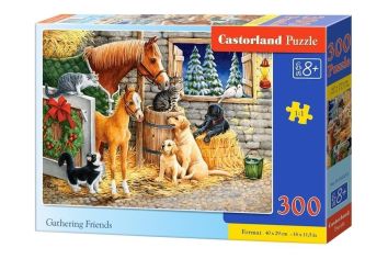 Puzzle 300 Gathering Friends CASTOR