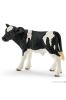 Cielę rasy Holstein