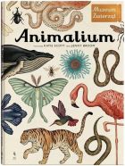 Animalium wyd.3