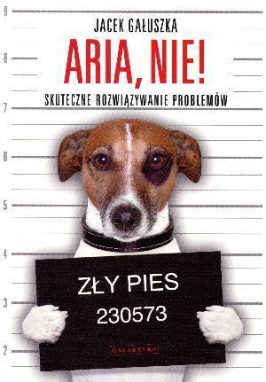 Aria, nie! Skuteczne rozwiązywanie problemów