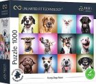 Puzzle 1000 Funny Dogs Faces TREFL