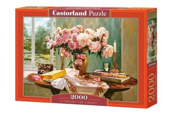 Puzzle 2000 A present for Lindsey CASTOR