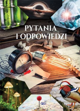 Pytania i odpowiedzi