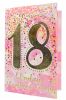 Karnet B6 PR-100 Urodziny 18