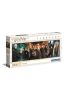 Puzzle 1000 Panorama Harry Potter