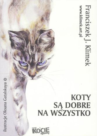 Koty są dobre na wszystko