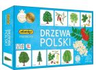Drzewa Polski