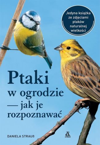 Ptaki w ogrodzie jak je rozpoznawać