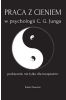 Praca z cieniem w psychologii C.G. Junga