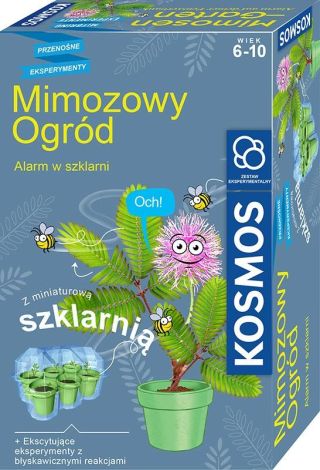 Mimozowy Ogród PIATNIK