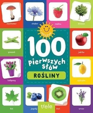 Rośliny. 100 pierwszych słów