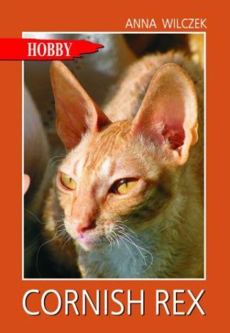 Cornish rex. Pluszowy kot