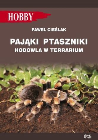 Pająki ptaszniki. Hodowla w terrarium