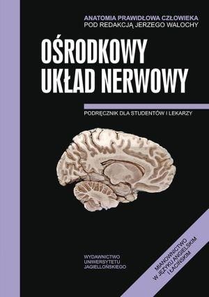 Anatomia prawidłowa człowieka. Ośrodkowy układu nerwowy