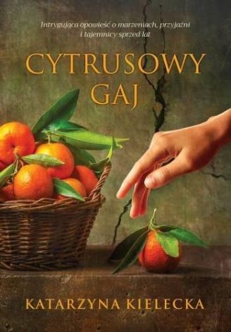 Cytrusowy gaj