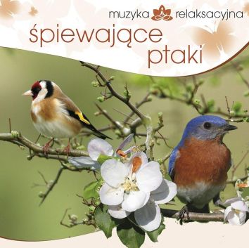 CD Muzyka relaksacyjna. Śpiewające ptaki