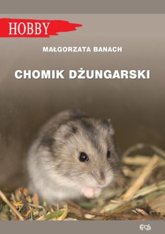 Chomik dżungarski