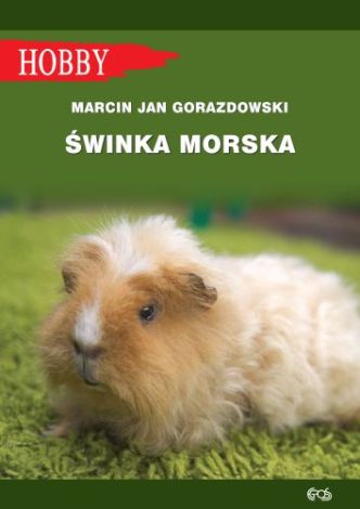 Świnka morska (wyd. 2021)