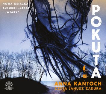 CD MP3 Pokuta (audiobook)