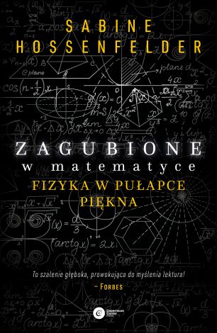 Zagubione w matematyce (miękka)