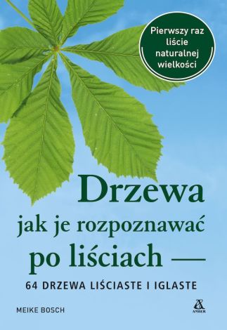 Drzewa – jak je rozpoznawać po liściach