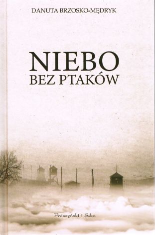 Niebo bez ptaków