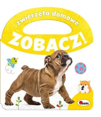 Zwierzęta domowe. Zobacz!