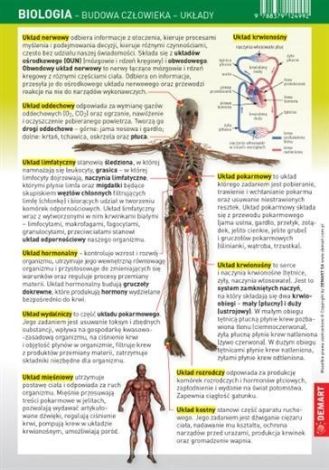 Ściągawka - Biologia - Budowa człowieka, układy