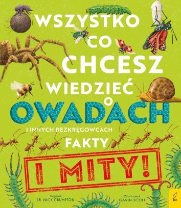 Wszystko, co chcesz wiedzieć o owadach i innych bezkręgowcach