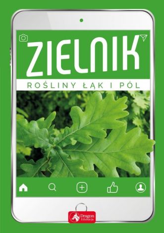 Zielnik Rośliny łąk, pól i lasów