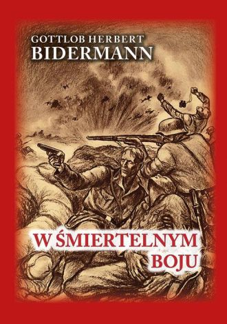 W śmiertelnym boju. Pamiętniki niemieckiego żołnierza z frontu wschodniego