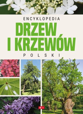 Encyklopedia drzew i krzewów Polski