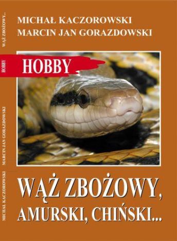 Wąż zbożowy, amurski, chiński…